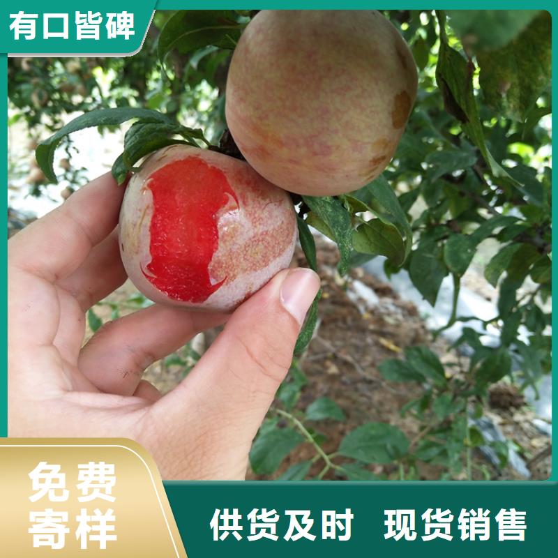 李子,奶油草莓選擇我們選擇放心