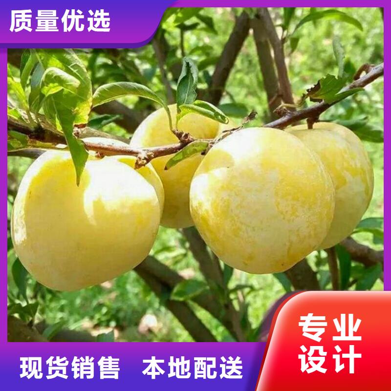 李子,梨樹苗免費安裝