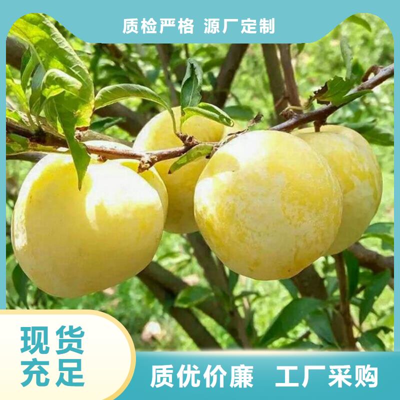 李子,奶油草莓選擇我們選擇放心