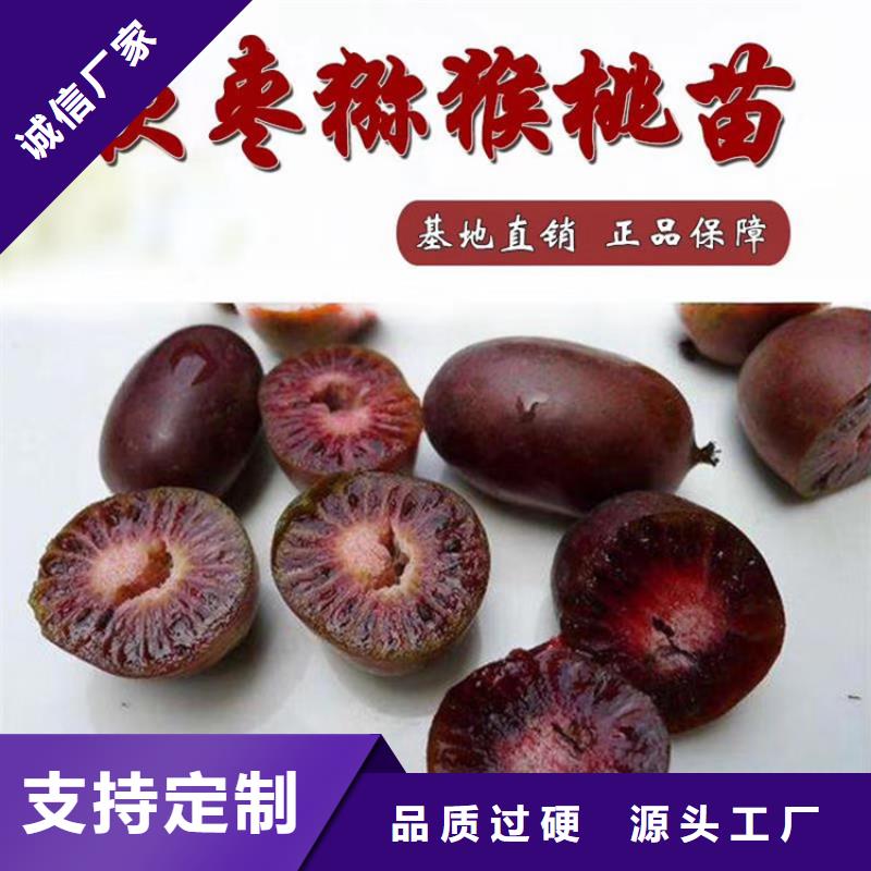獼猴桃_藍莓苗核心技術(shù)