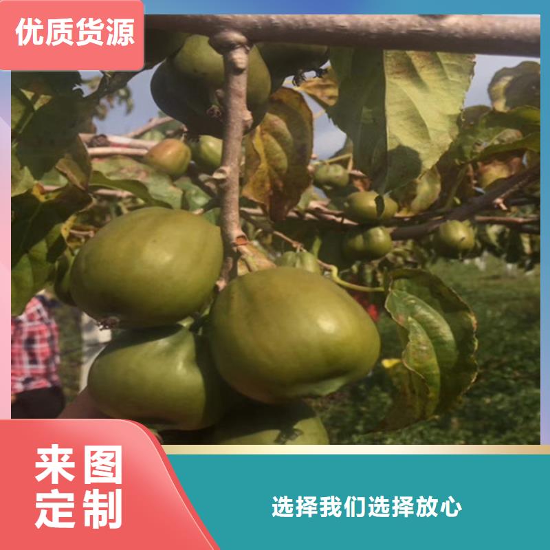 獼猴桃黃瓜苗來(lái)圖加工定制