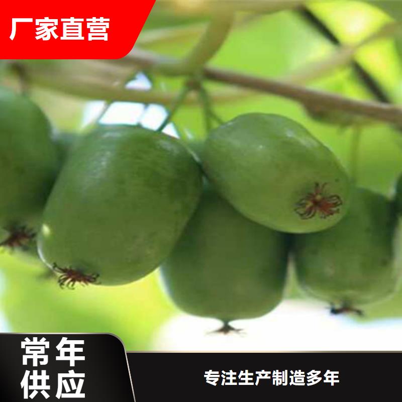 猕猴桃黄瓜苗来图加工定制