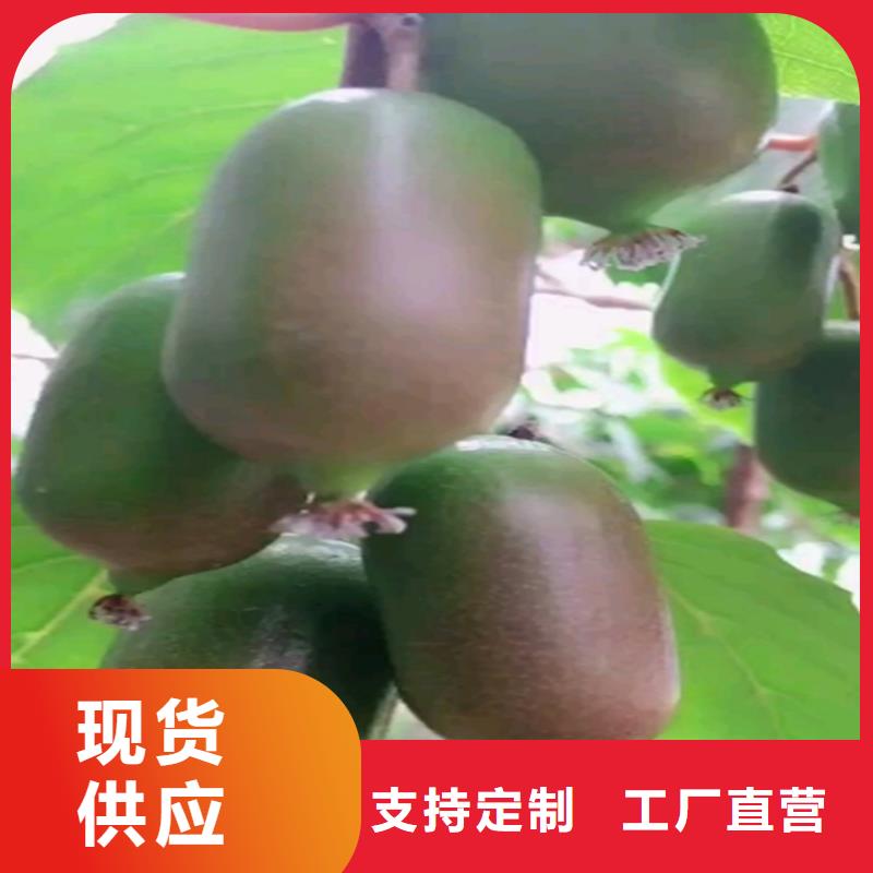 猕猴桃黄瓜苗来图加工定制