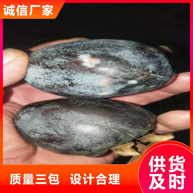 柿子櫻桃苗選擇我們沒錯