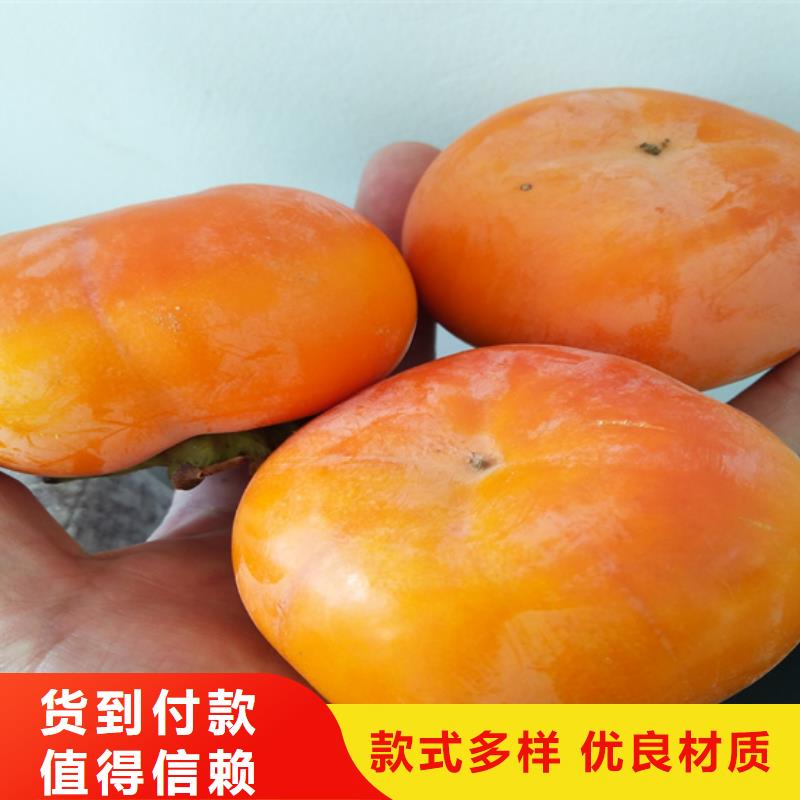 柿子【猕猴桃苗】交货准时