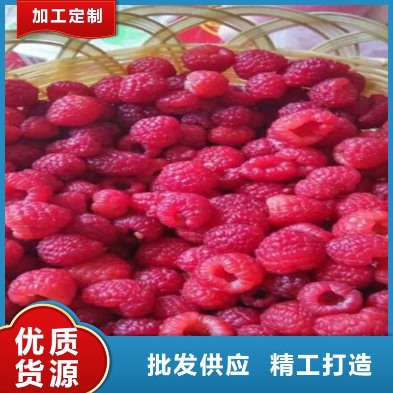树莓奶油草莓实力雄厚品质保障