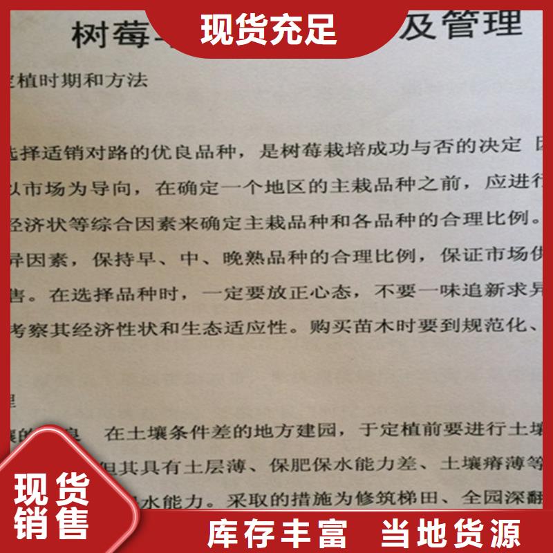 树莓奶油草莓实力雄厚品质保障