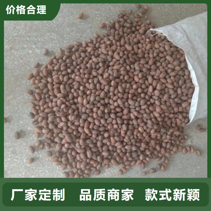 碧根果梨樹苗專業(yè)完善售后