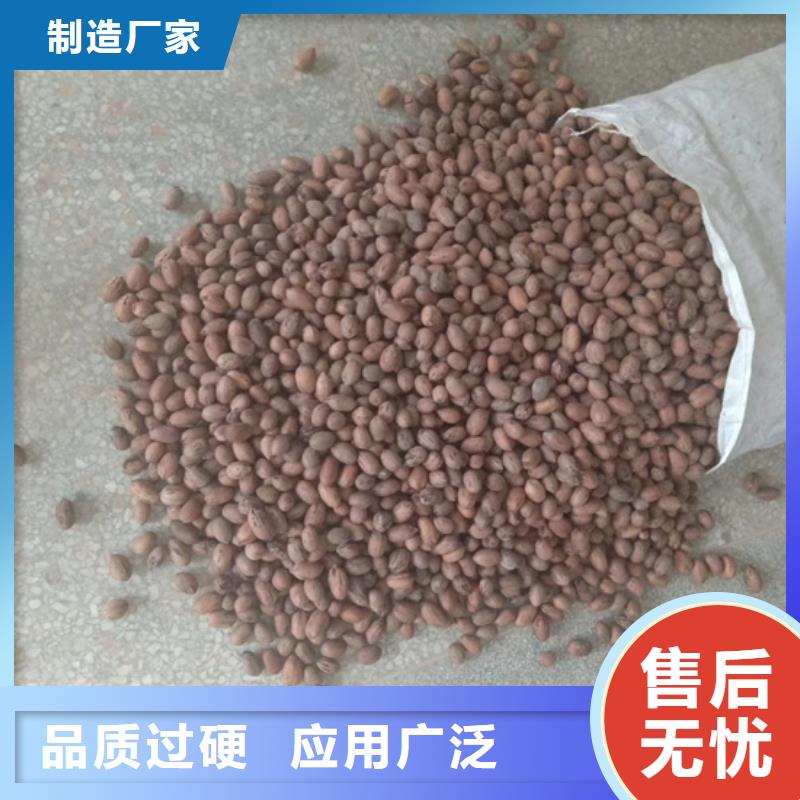 碧根果梨树苗专业完善售后