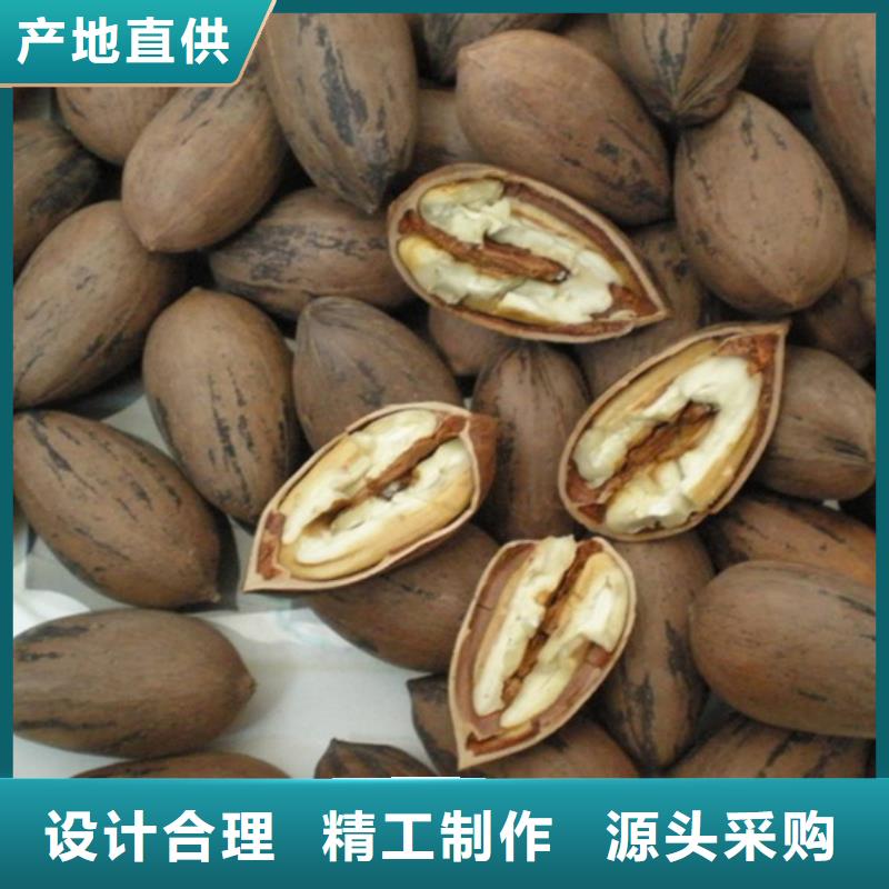 碧根果藍(lán)莓苗廠家精選
