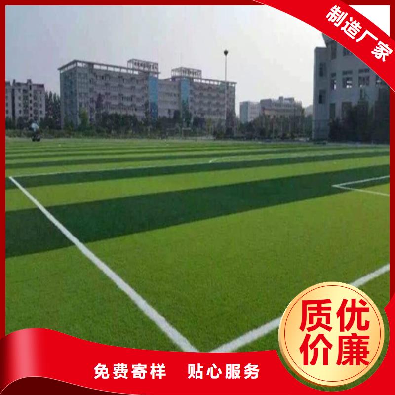 人造草坪 epdm幼兒園橡膠跑道來圖定制量大從優(yōu)