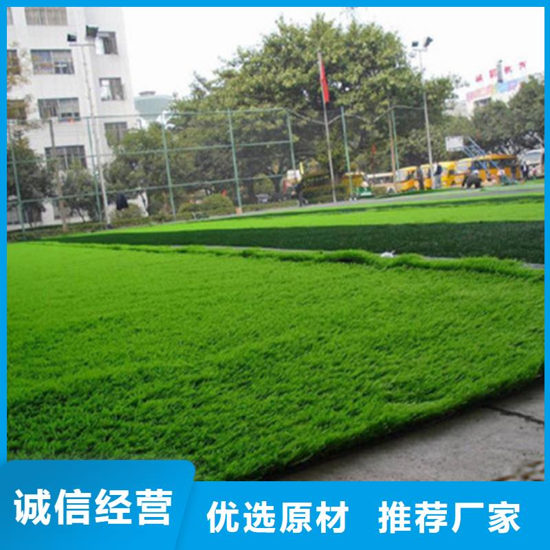人造草坪塑膠球場(chǎng)服務(wù)周到