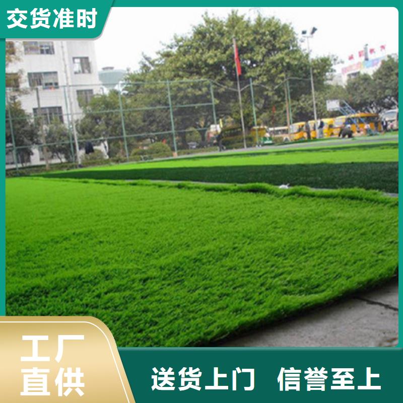 人造草坪硅PU球场专心专注专业