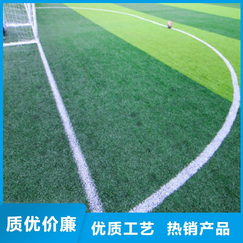  人造草坪高标准高品质