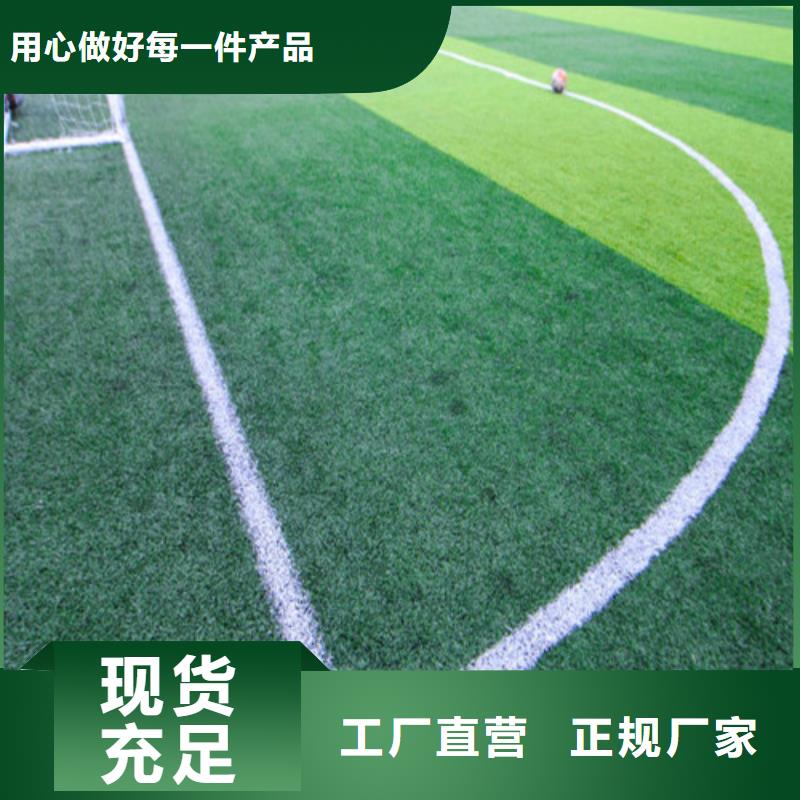 人造草坪塑胶跑道专业品质