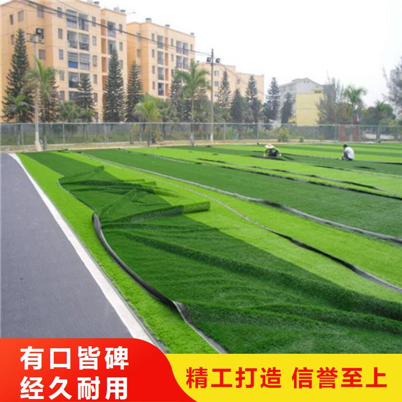人造草坪 硅PU球場品種全