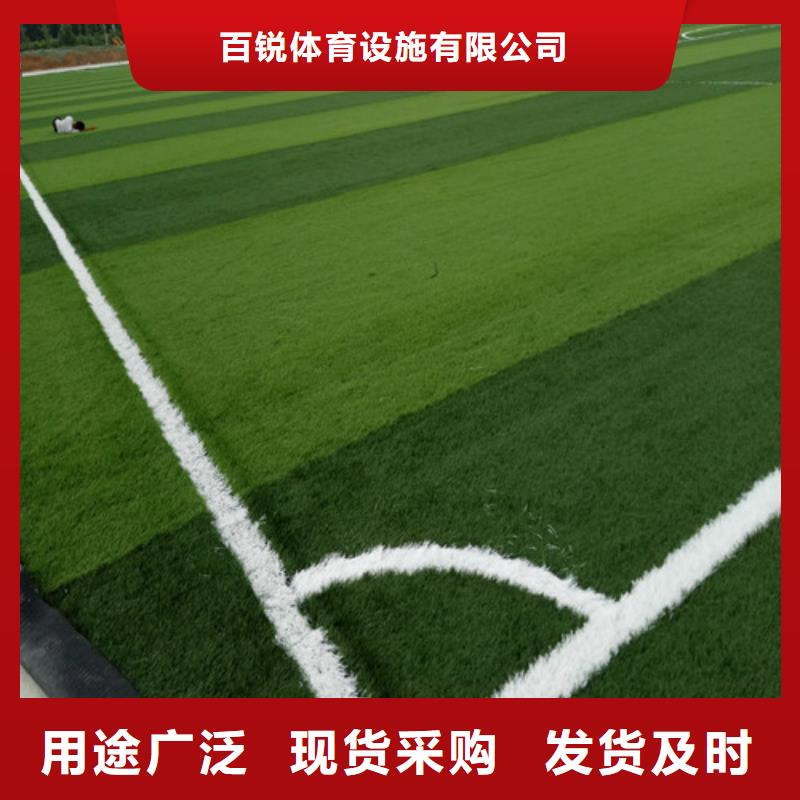 人造草坪_体育塑胶运动场量大从优