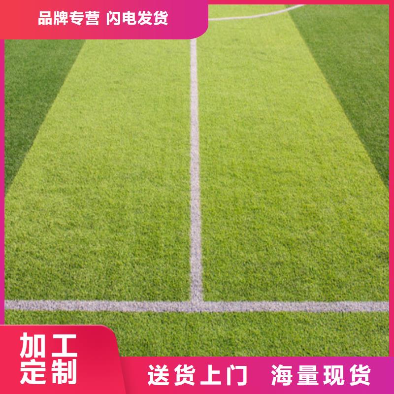 人造草坪塑胶跑道一手价格