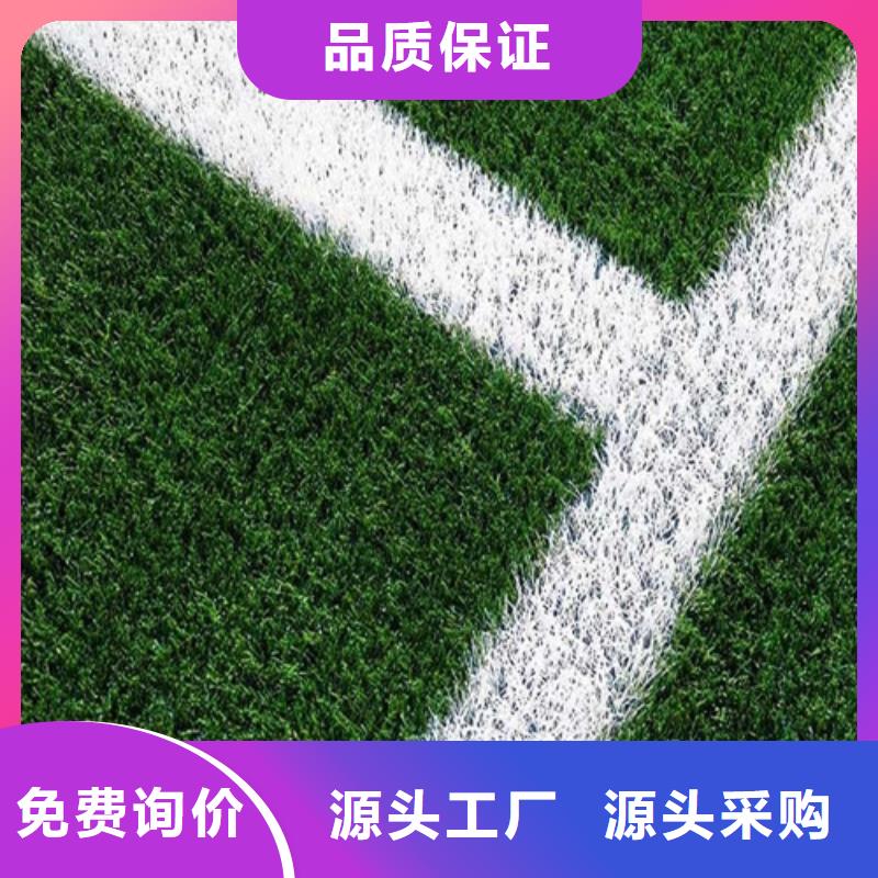人造草坪 塑膠跑道型號全價格低
