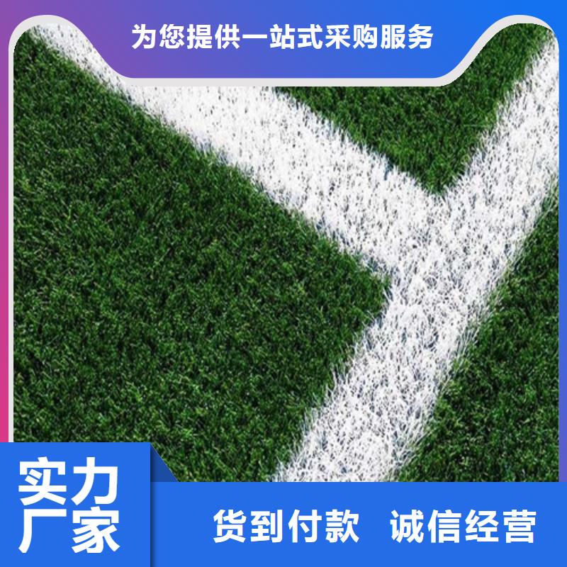 人造草坪塑膠跑道自有廠家