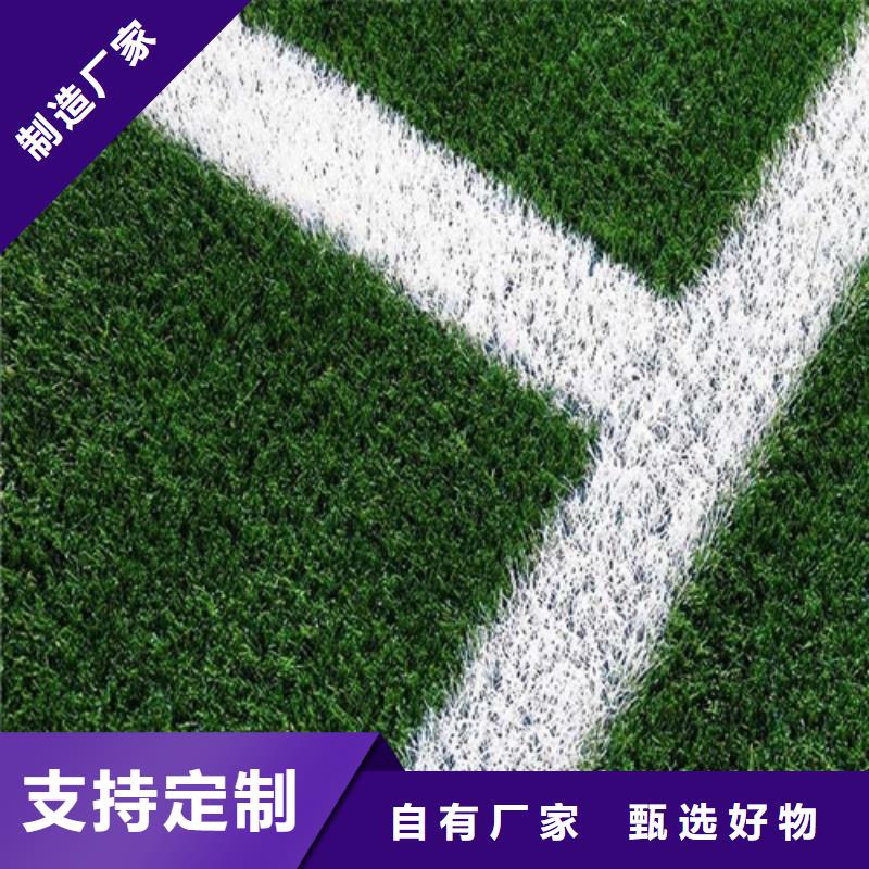 人造草坪 塑膠跑道型號全價格低