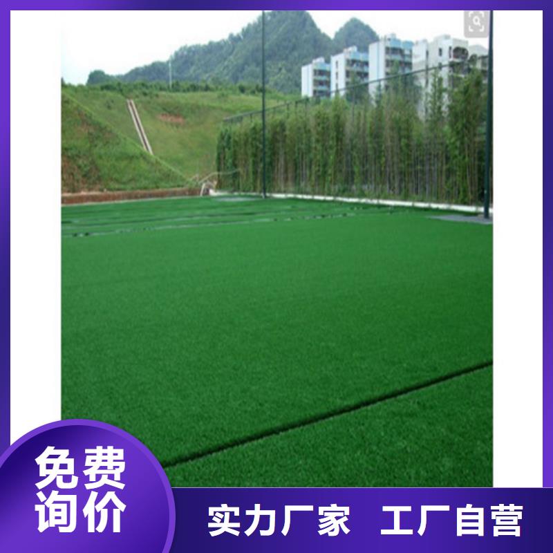 重信譽(yù)幼兒園仿真草坪廠家直銷