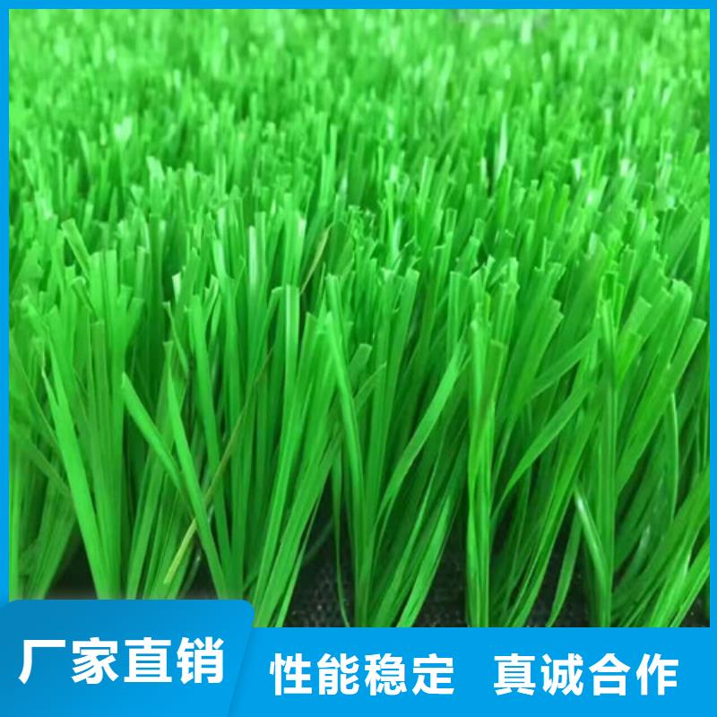  人造草坪認(rèn)準(zhǔn)大品牌廠家
