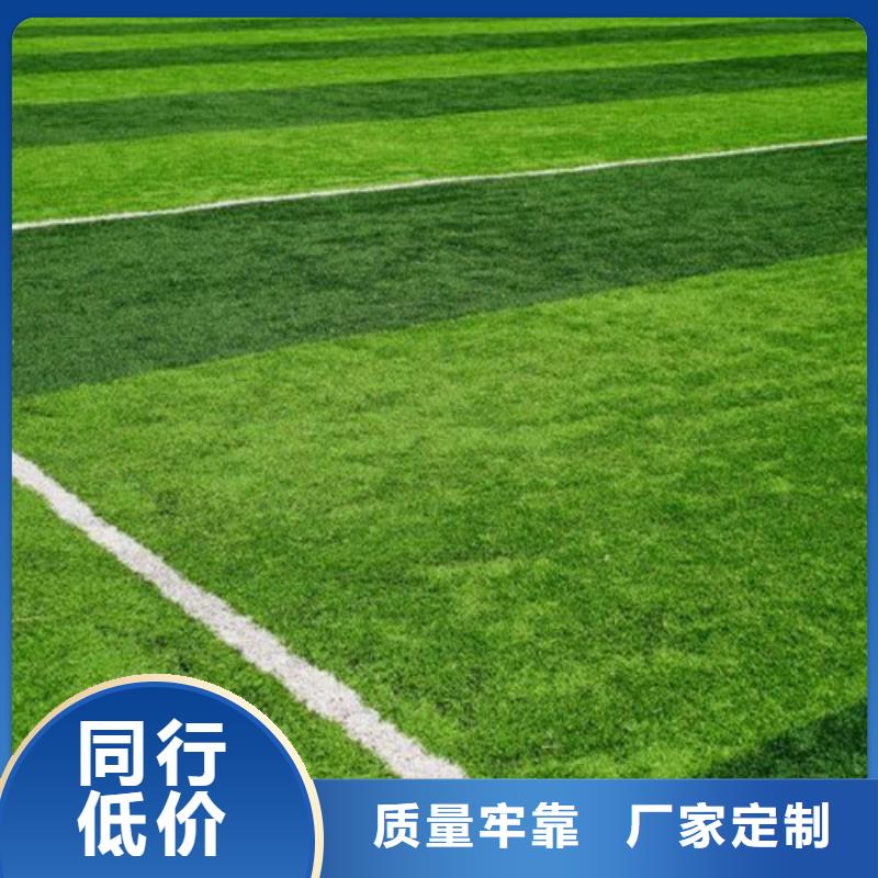人造草坪體育塑膠運(yùn)動(dòng)場(chǎng)來(lái)電咨詢