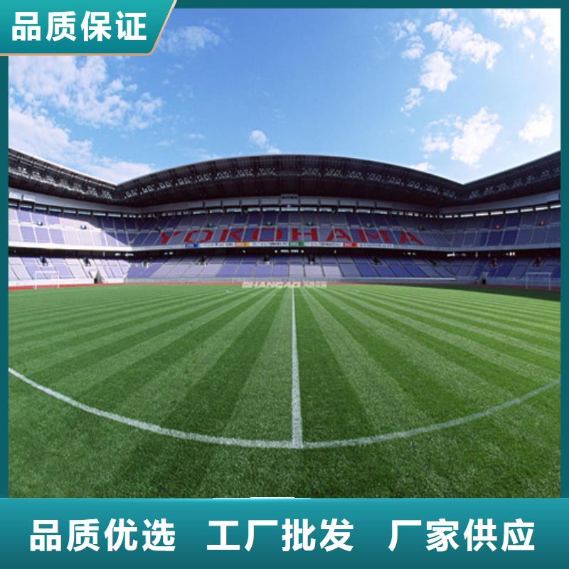  人造草坪真實(shí)拍攝品質(zhì)可靠