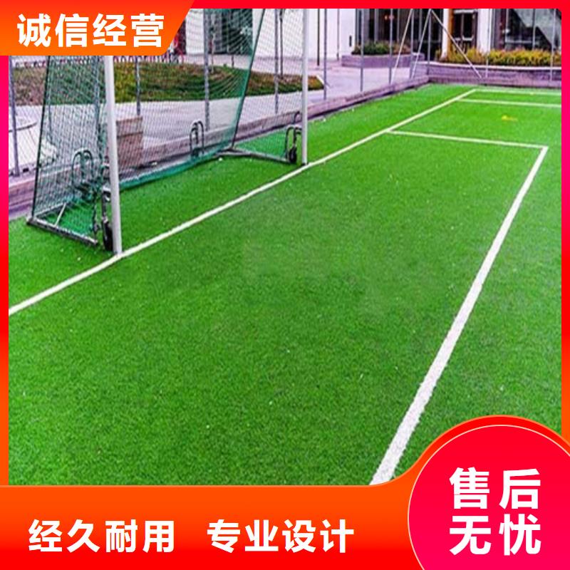 人造草坪真實(shí)拍攝品質(zhì)可靠