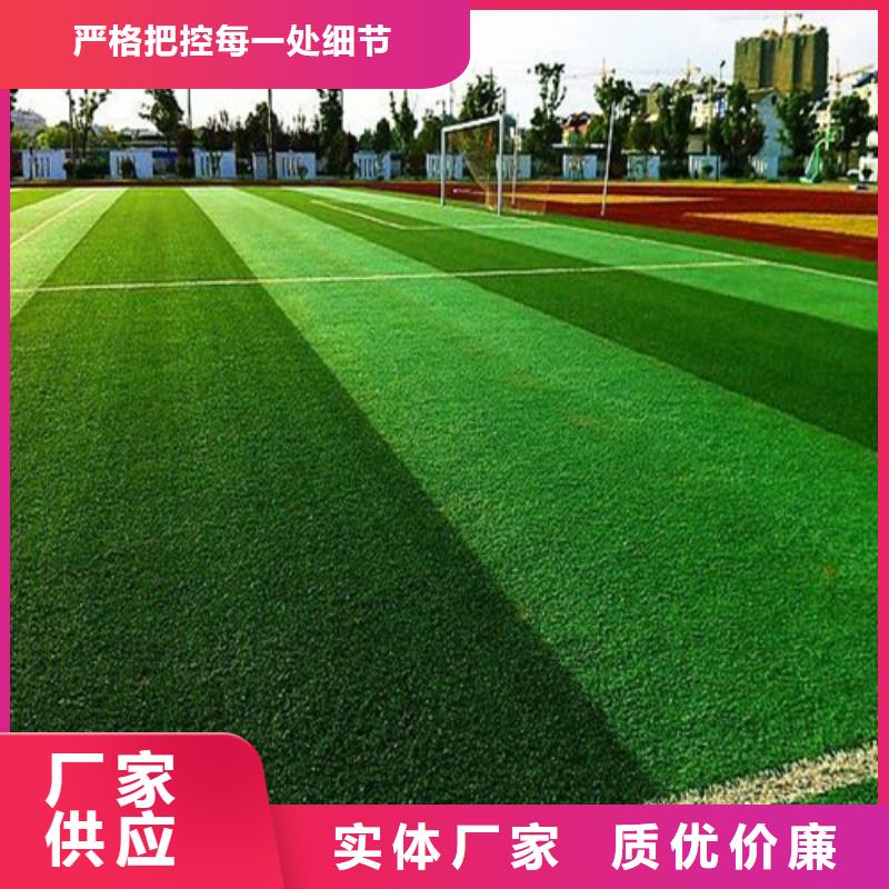 人造草坪陶瓷防做工细致