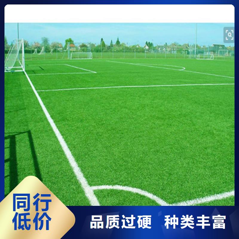  人造草坪認(rèn)準(zhǔn)大品牌廠家