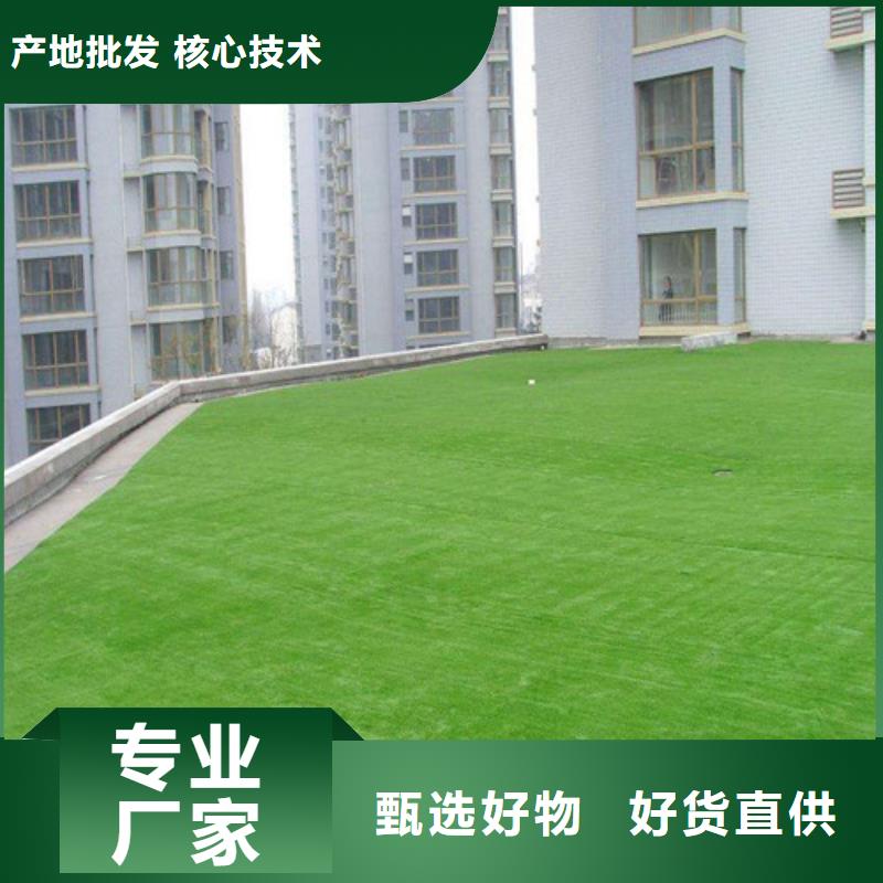 人造草坪健身步道注重细节
