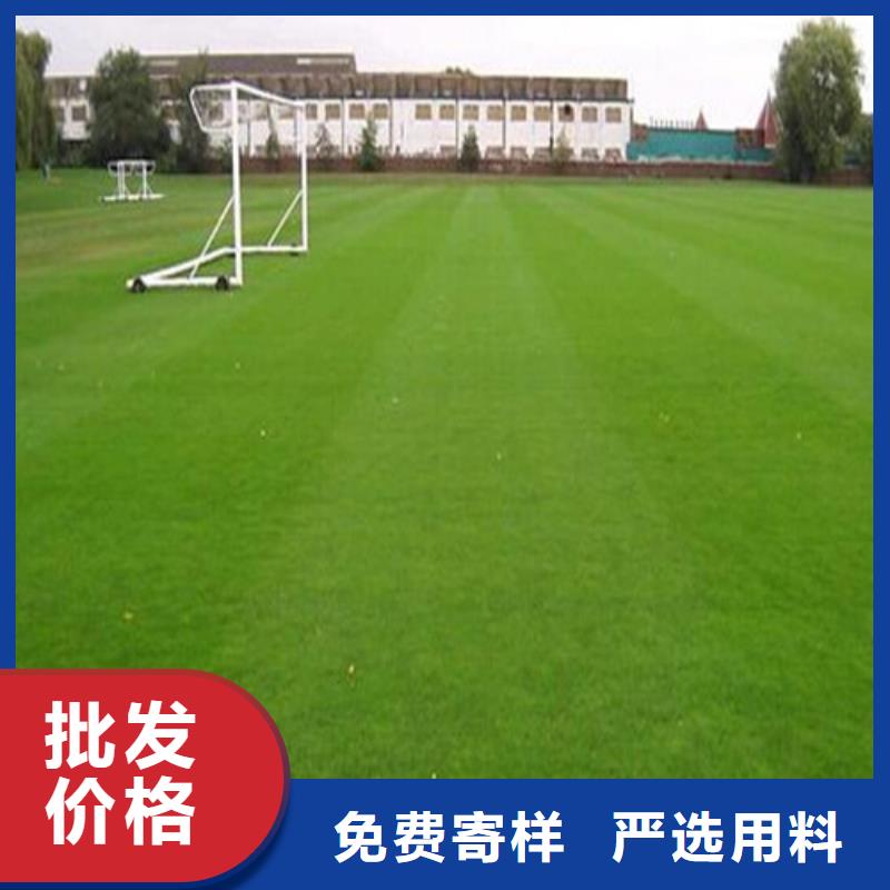 人造草坪 学校塑胶跑道品质信得过