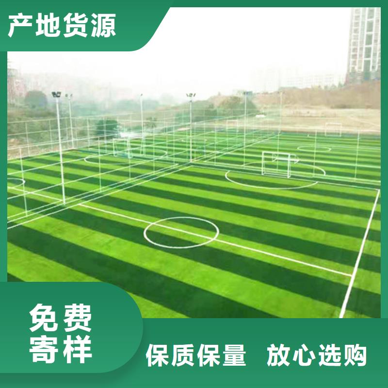  人造草坪認(rèn)準(zhǔn)大品牌廠家
