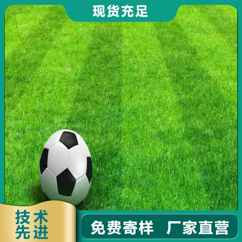  人造草坪认准大品牌厂家