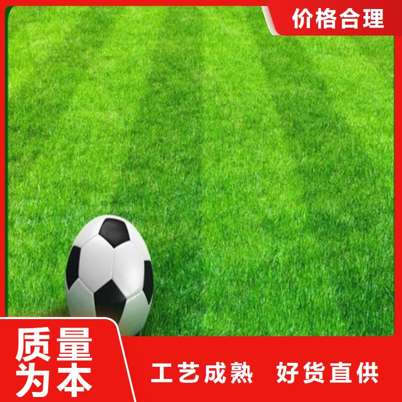 仿真人工草坪排行