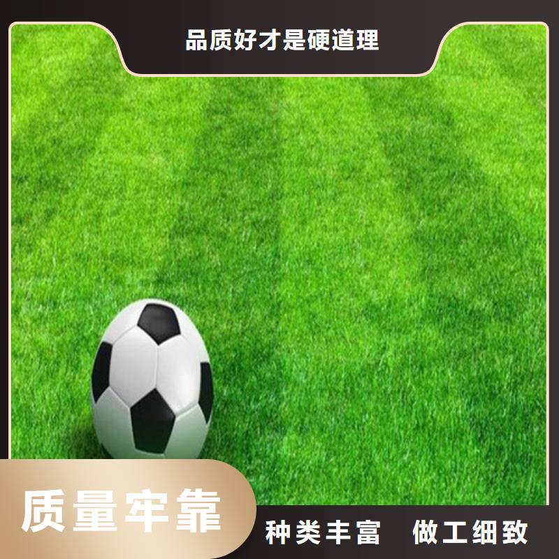  人造草坪誠(chéng)信商家