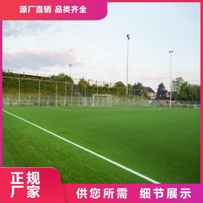 人造草坪 塑膠球場多種工藝