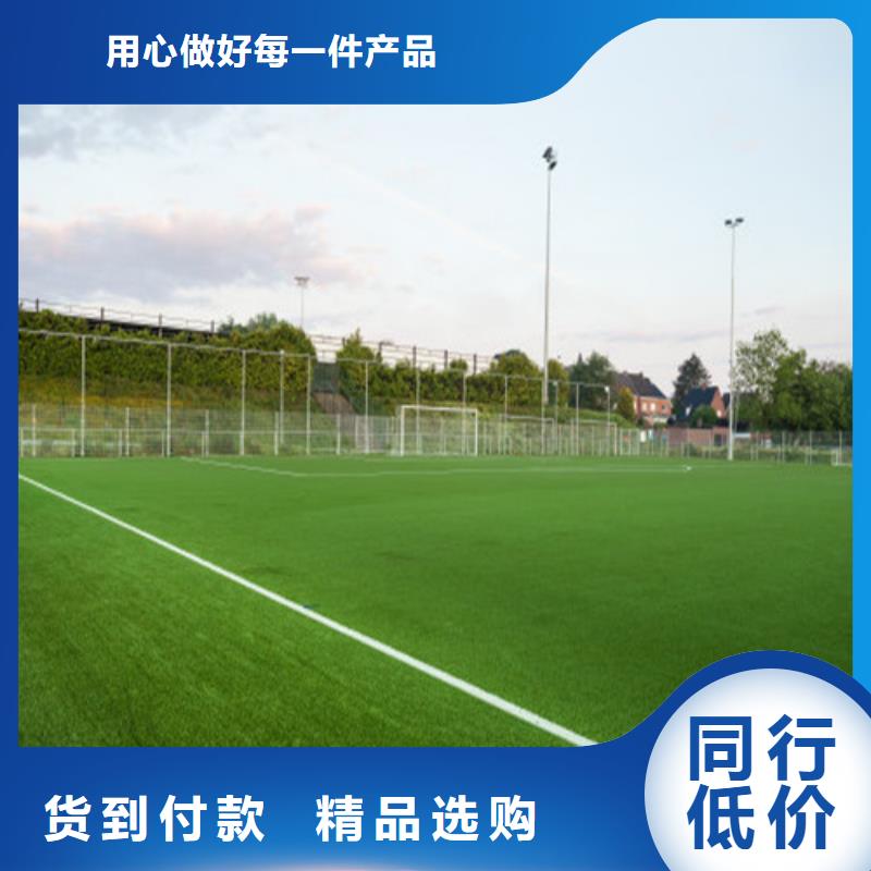  人造草坪高标准高品质