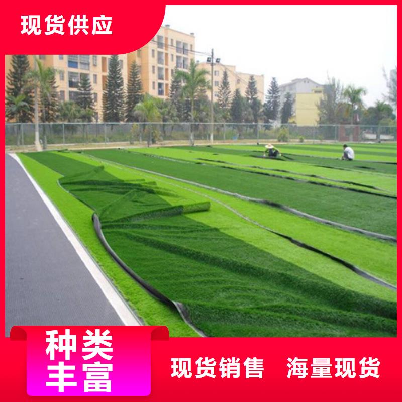 人造草坪 塑膠跑道型號全價格低