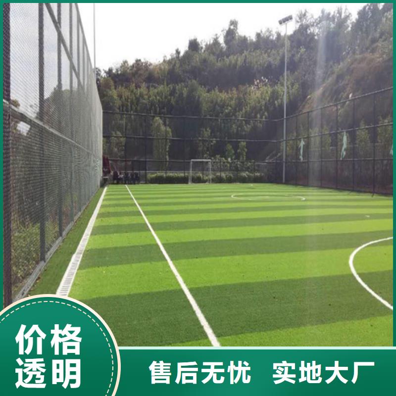 人造草坪 塑膠跑道型號全價格低