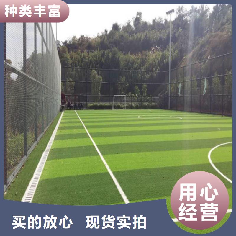人造草坪認(rèn)準(zhǔn)大品牌廠家
