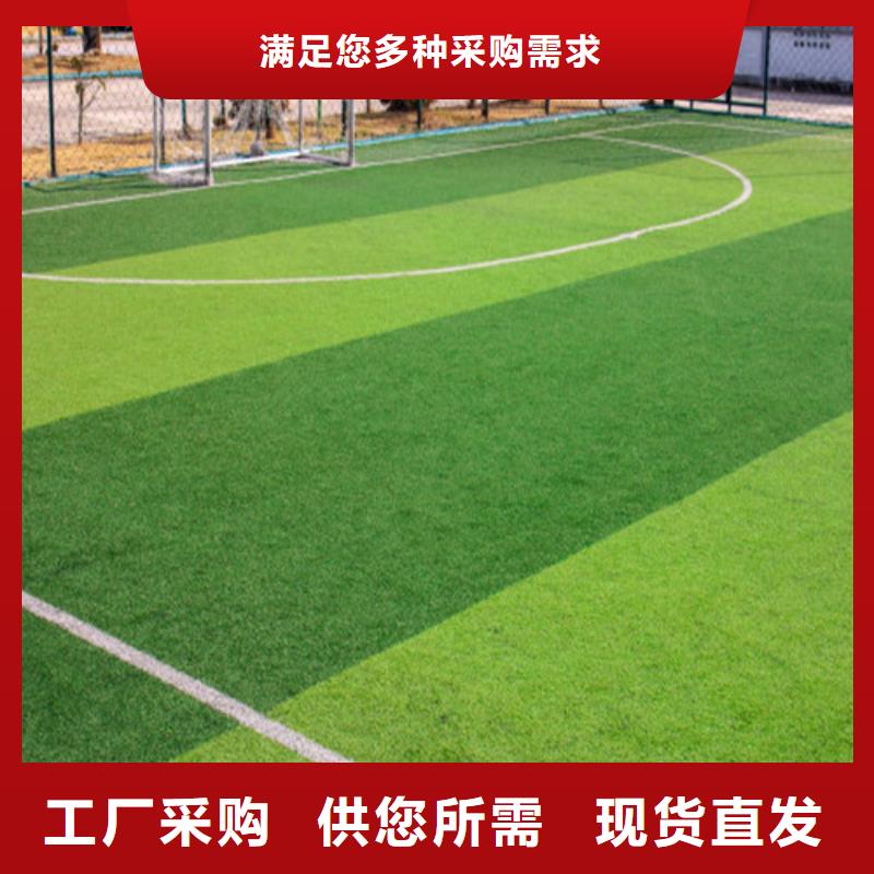 人造草坪認(rèn)準(zhǔn)大品牌廠家