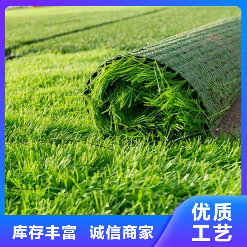 人造草坪認(rèn)準(zhǔn)大品牌廠家
