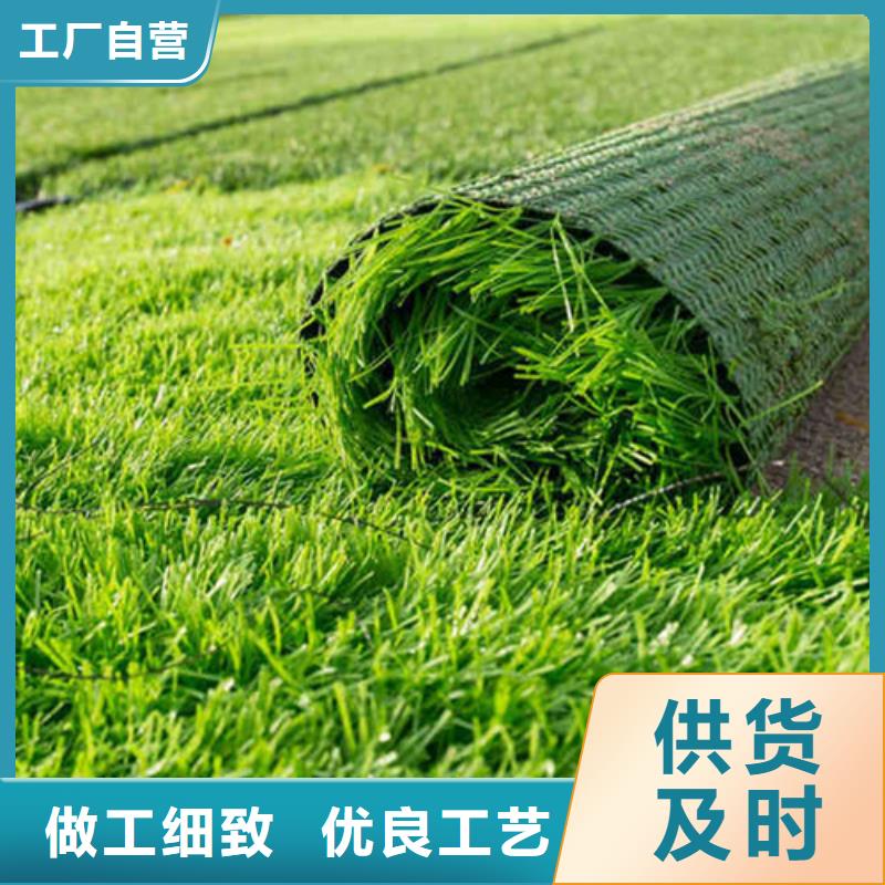 人造草坪塑膠球場(chǎng)服務(wù)周到