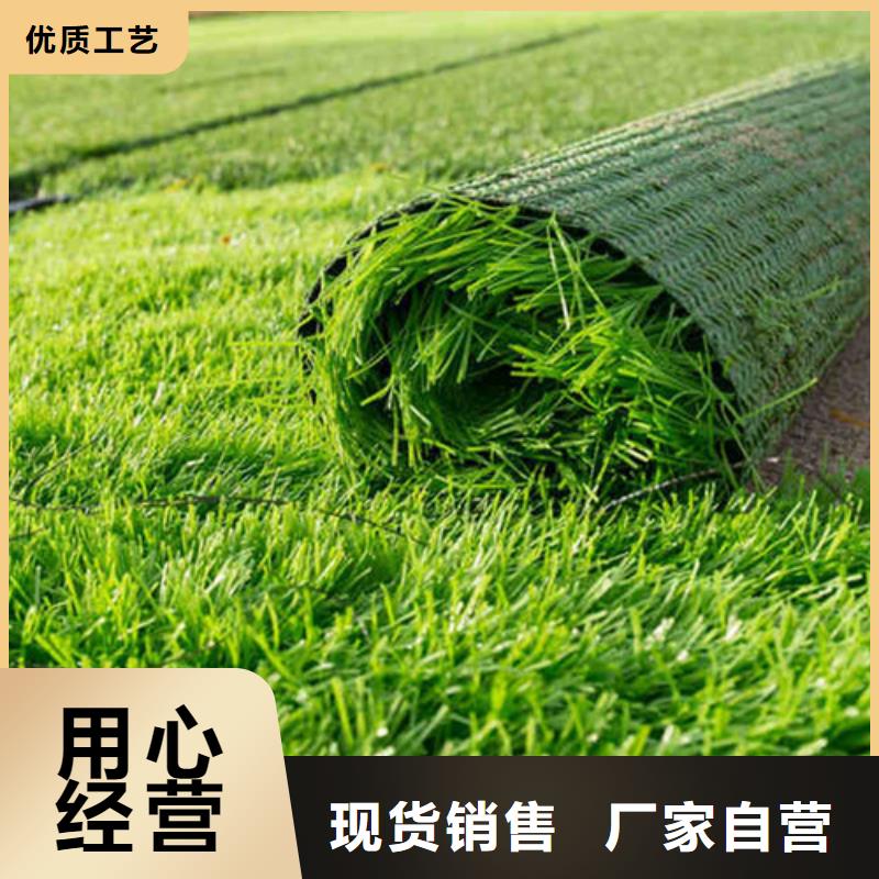 人造草坪公園塑膠跑道現(xiàn)貨直發(fā)
