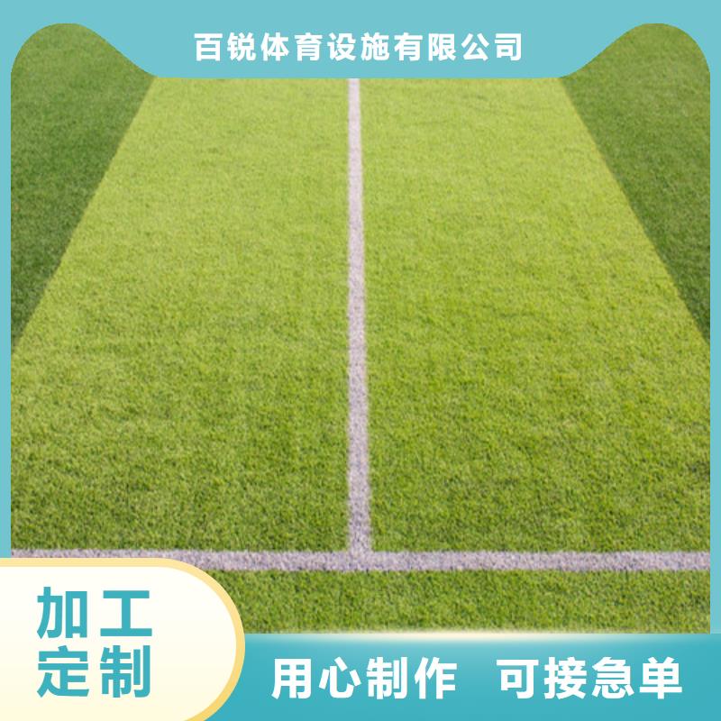 重信譽(yù)幼兒園仿真草坪廠家直銷