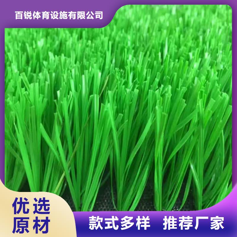 人造草坪認(rèn)準(zhǔn)大品牌廠家