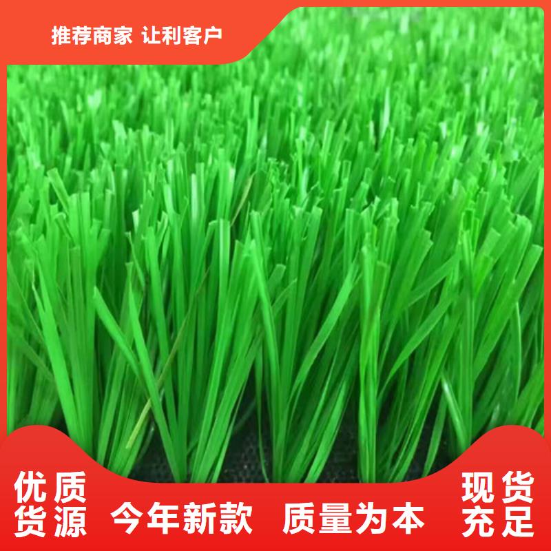 人造草坪 塑膠跑道型號全價格低